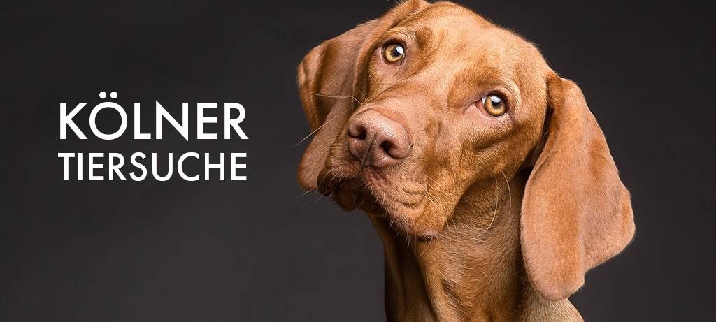 Die Kölner Tiersuche
