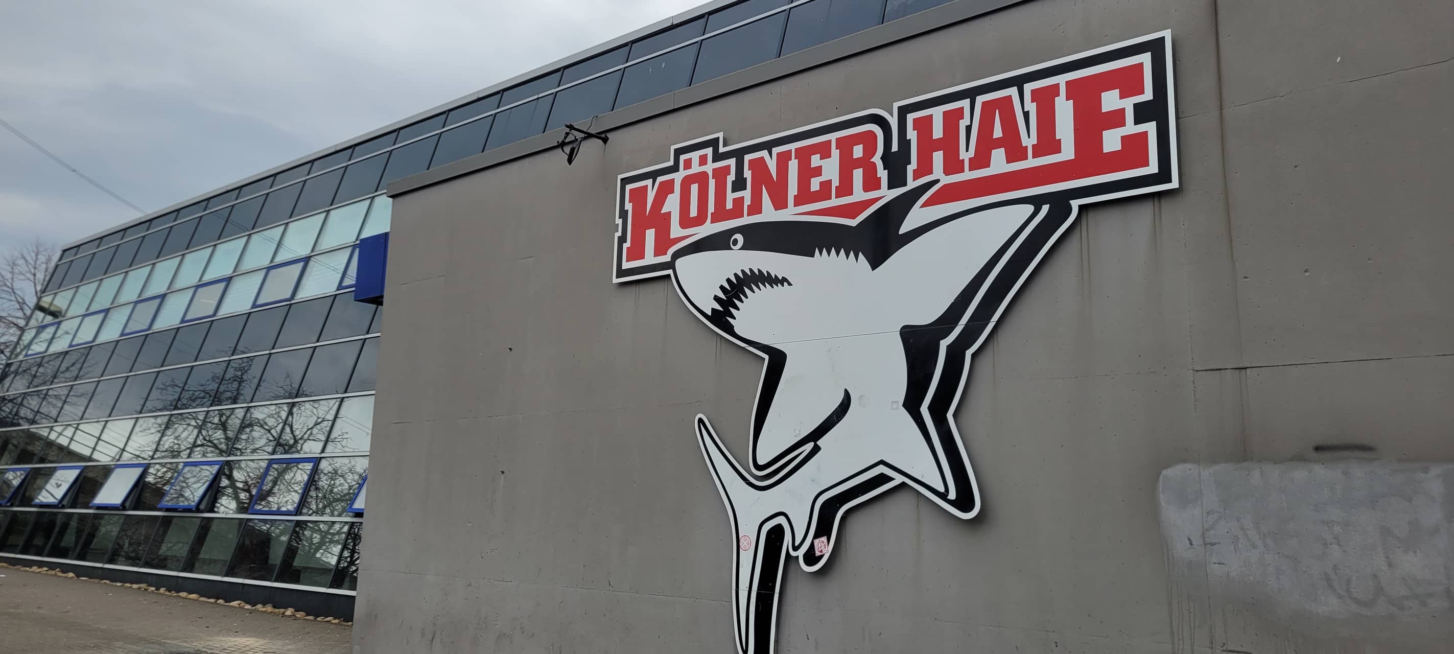 Kölner Haie spielen in Straubing