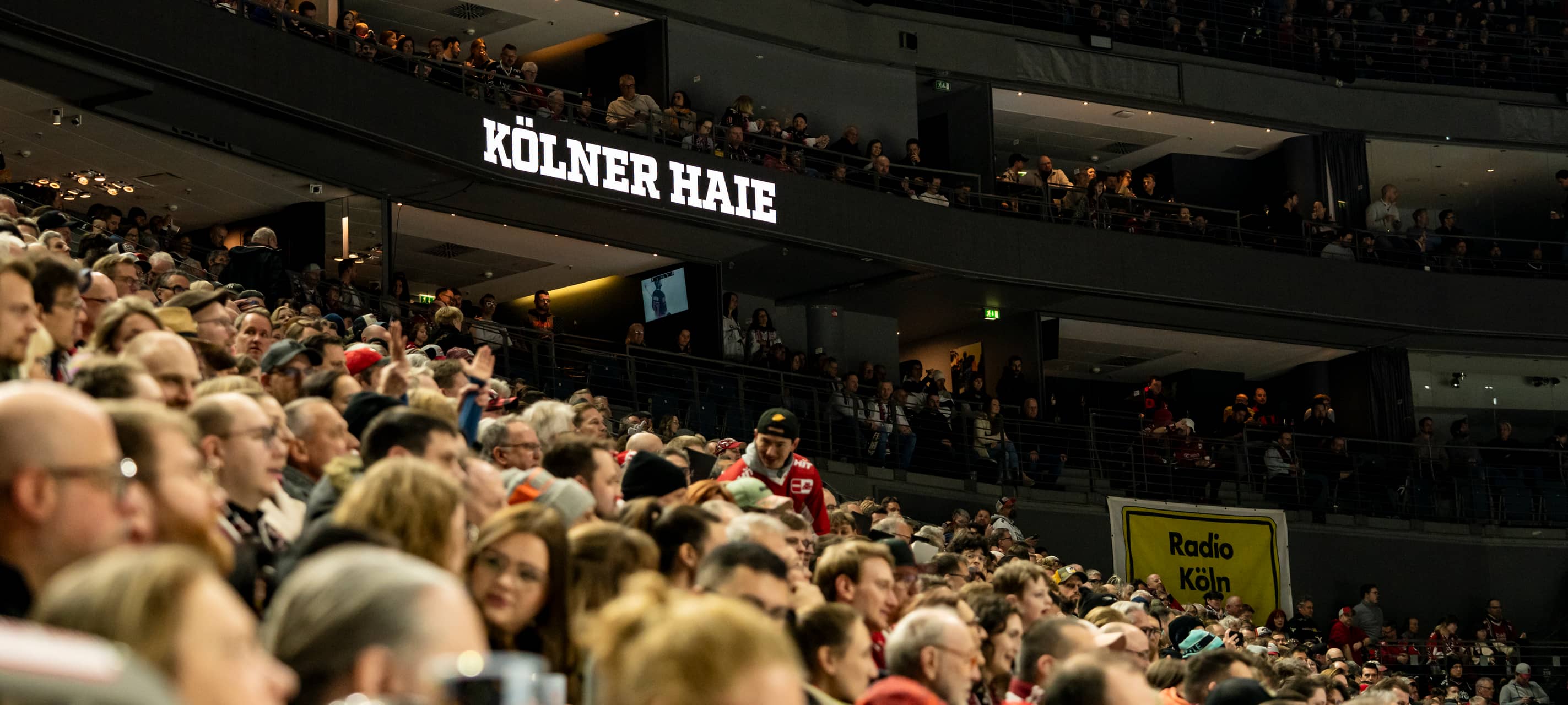 Kölner Haie verlieren gegen München