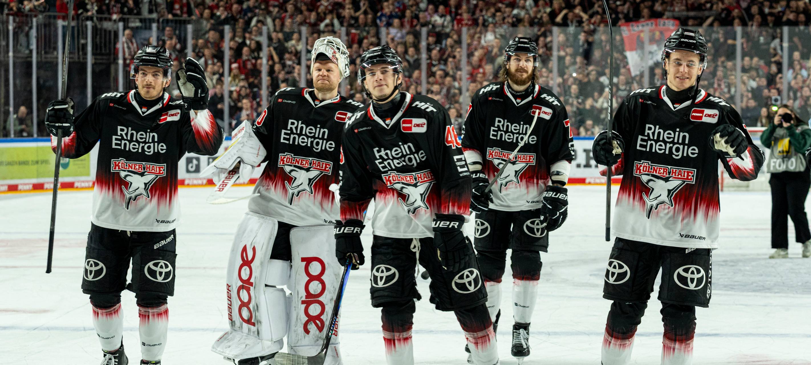 Traumstart für die Haie in der Champions Hockey League