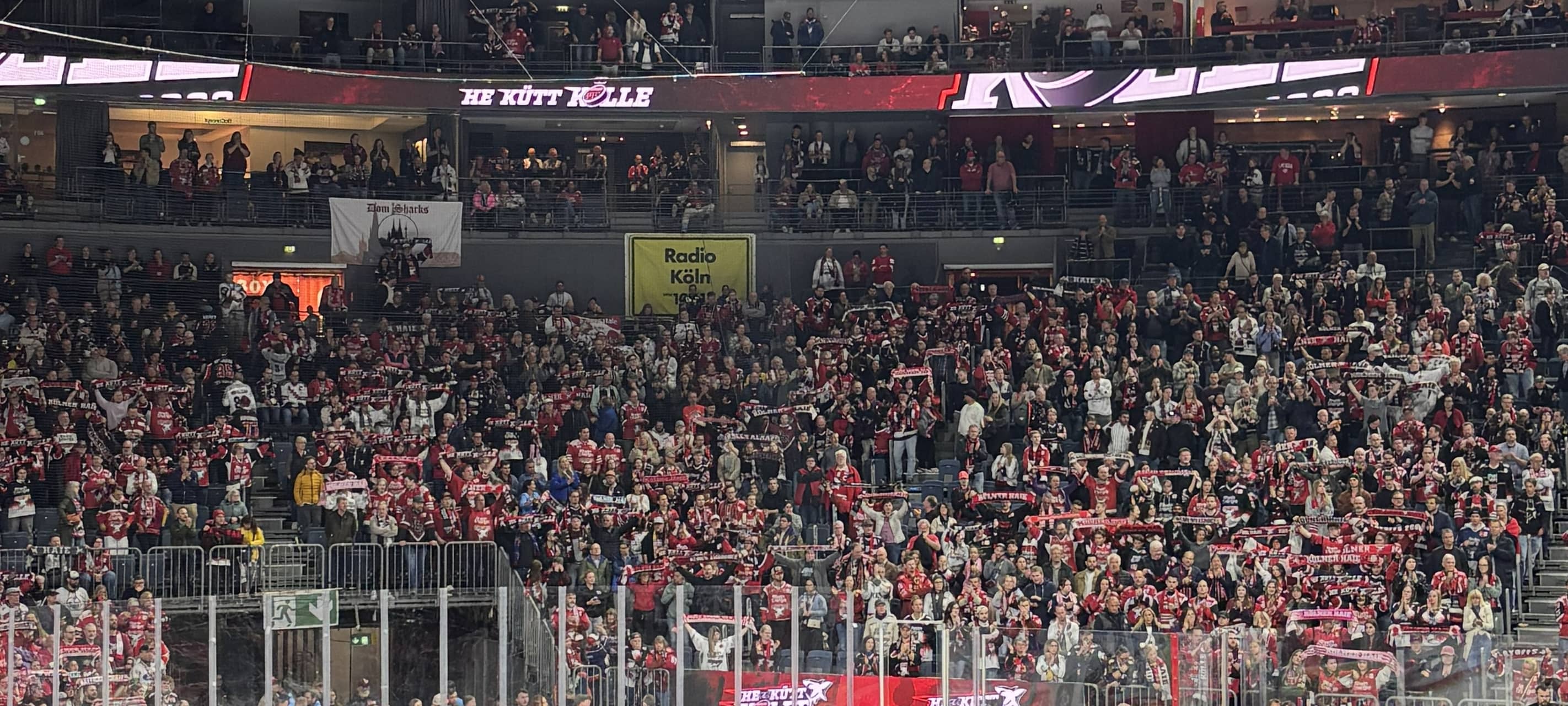 Haie gewinnen in Augsburg