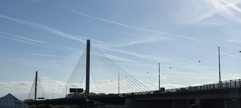 Umfrage zur Sperrung der Bonner Nordbrücke